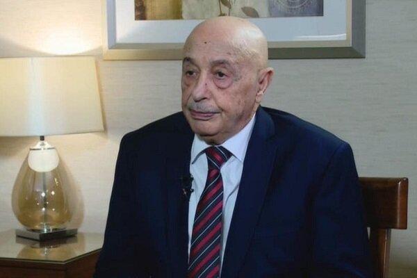 اعزام نظامیان ترکیه به لیبی غیر قابل قبول است اعزام نظامیان ترکیه به لیبی غیر قابل قبول است