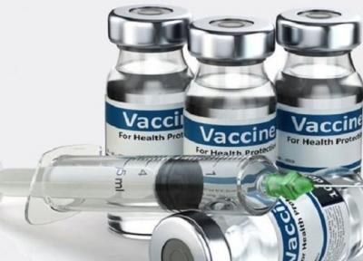 واکسن ضد کرونا تا مهر آماده فروش می گردد