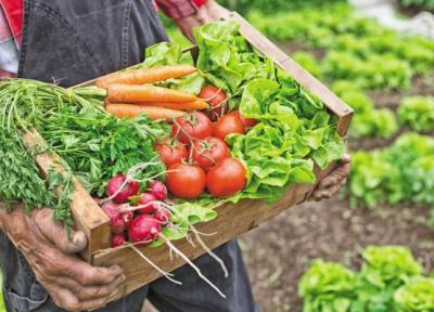 باید رژیم کتو را امتحان کنیم؟