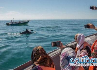 ایران با داشتن سه دریای پیرامونی هنوز نتوانسته از ظرفیت گردشگری دریایی استفاده کند